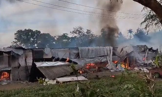 Kebakaran Hebat Landa Kandang Ayam di Semboro, Ribuan Ekor Ayam Hangus