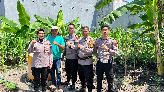 Polsek Waru Optimis Program Ketahanan Pangan Melalui Tanam Jagung di Bungurasih Berhasil