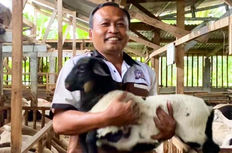Siap Wujudkan Ekosistem Domba Terpadu, dari Susu hingga Rumah Potong