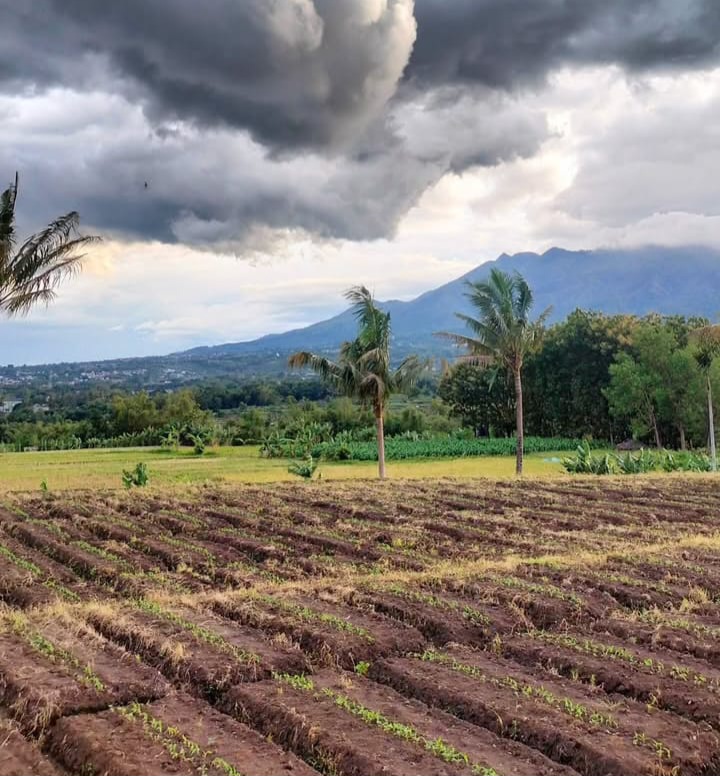 Petani Bisa Daftar di Platform Stroberi.id, Warga Bojonegoro Nilai Permudah Penjualan Hasil Panen