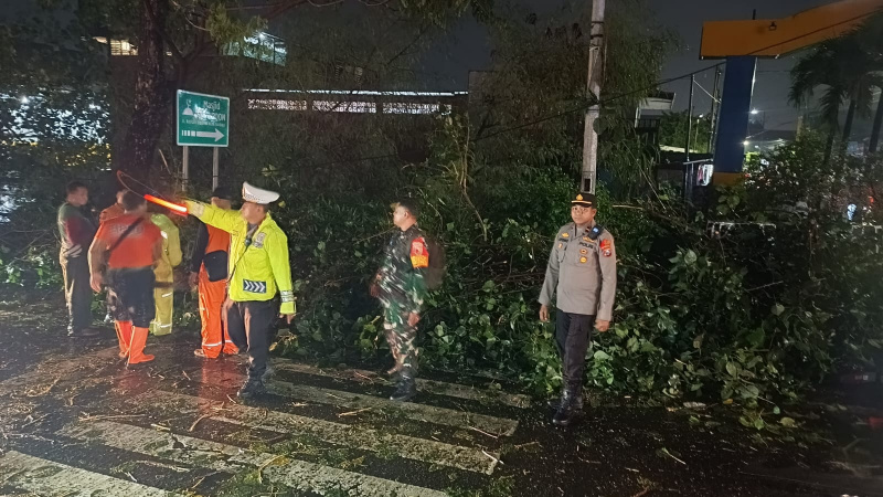 Kapolsek Tenggilis Mejoyo Pimpin Evakuasi  Pohon Tumbang di Kendangsari Industri, Satu Korban Luka