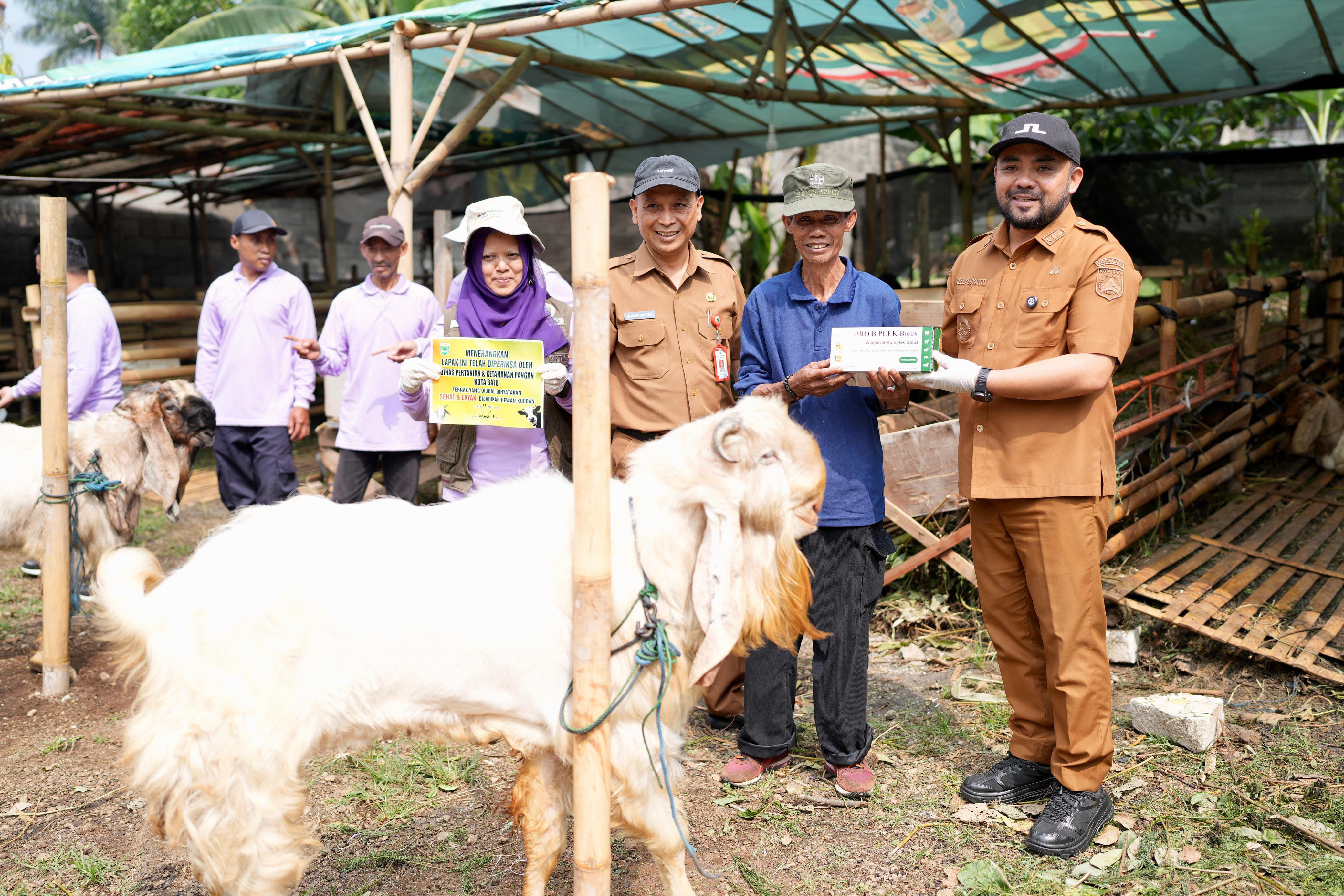 Pemkot Batu Adakan Uji Sehat dan Layak pada Hewan Kurban