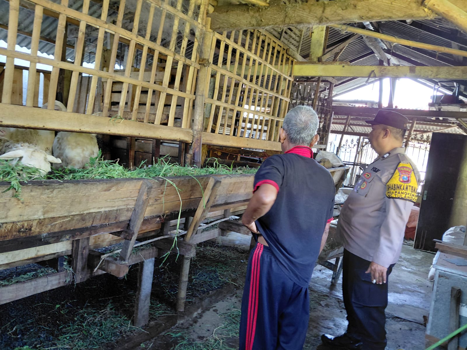 Polisi Tulangan Beri Motivasi Peternak Kambing, Tingkatkan Produksi Ketahanan Pangan