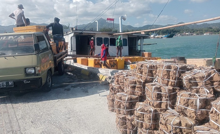 Berlayar dari Bawean ke Lamongan, KLM Ayta CK2 Dilaporkan Hilang Kontak di Laut