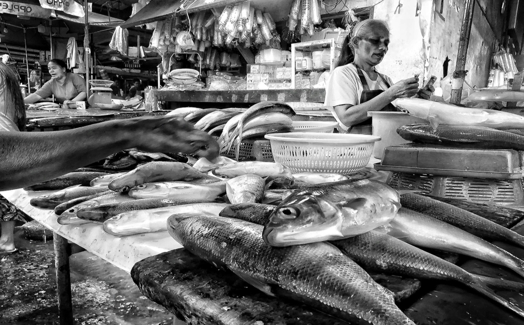 Menjelajahi Tradisi Pasar Bandeng di Kota Gresik, Warisan Budaya yang Menawan