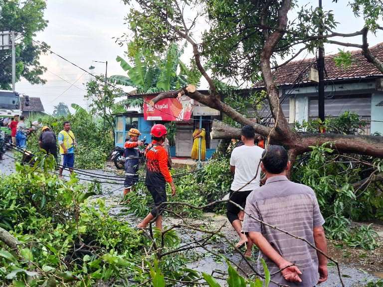 Lima Rumah Rusak Diterjang Hujan Angin Kencang