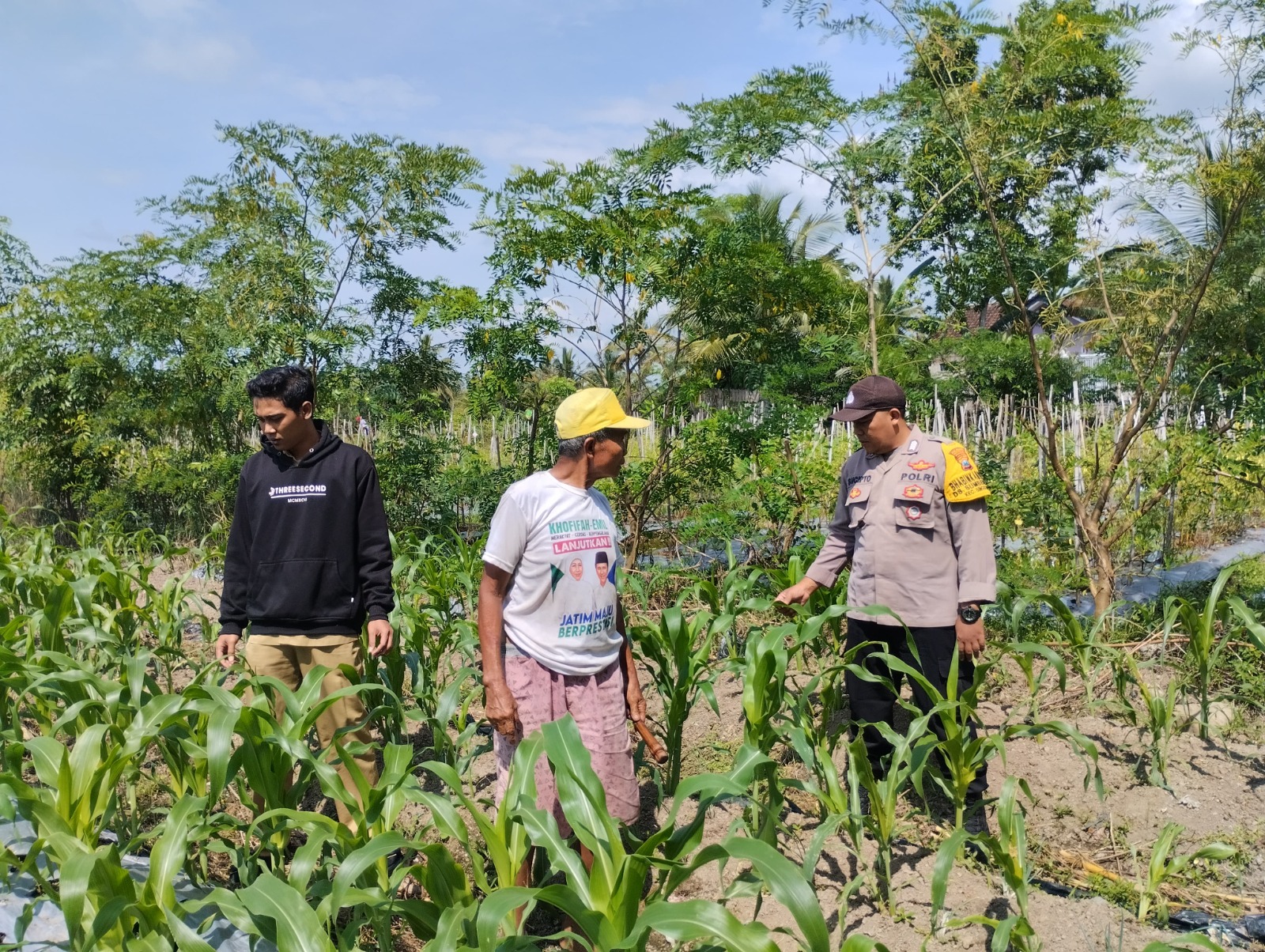 Dukung Ketahanan Pangan, Bhabinkamtibmas Polresta Banyuwangi Monitoring Pertumbuhan Tanaman Jagung