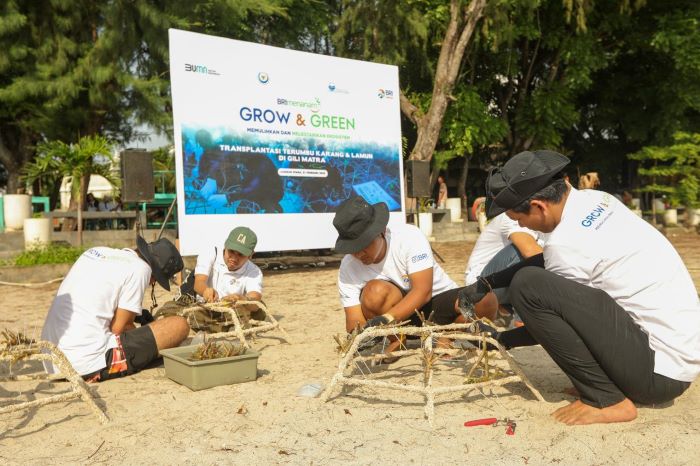 BRI Menanam “Grow & Green” Transplantasi Terumbu Karang, Jadi Ujung Tombak Pelestarian Ekosistem Laut di NTB