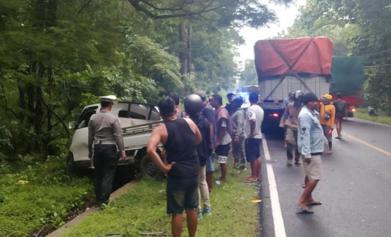 Sopir Pikap Asal Banyuwangi Tewas Terjepit Dasbor Setelah Tabrakan di Hutan Baluran Situbondo