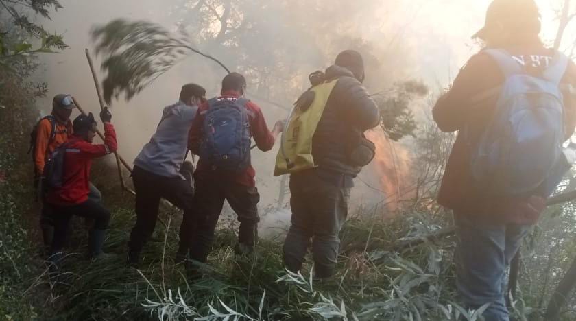 Kebakaran Savana Gunung Bromo Jelang Upacara Yadya Kasada