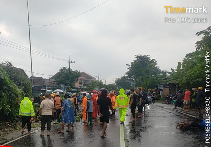 Polres Ngawi Cepat Tangani Pohon Tumbang, Korban Segera Dievakuasi