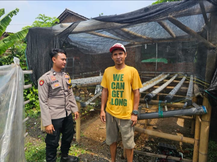 Bhabinkamtibmas Polsek Banyuwangi Terjun Langsung Bahas Kendala Pengembangan Selada Hidroponik