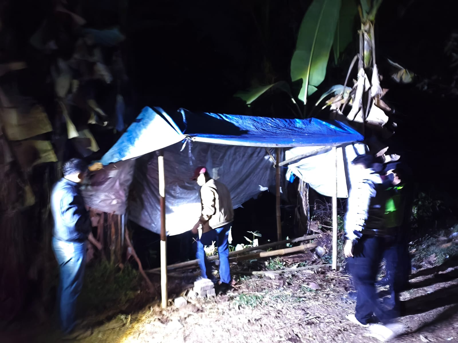 Polisi Bongkar dan Bakar Arena Judi Sabung Ayam di Singosari
