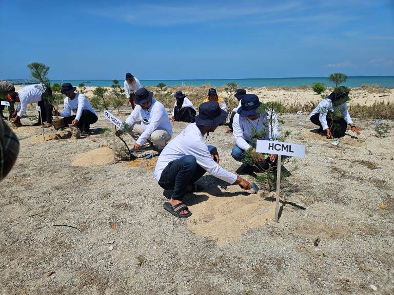 HCML Tanam 2.000 Pohon Cemara Udang di Gili Raja, Wujud Nyata Peduli Lingkungan