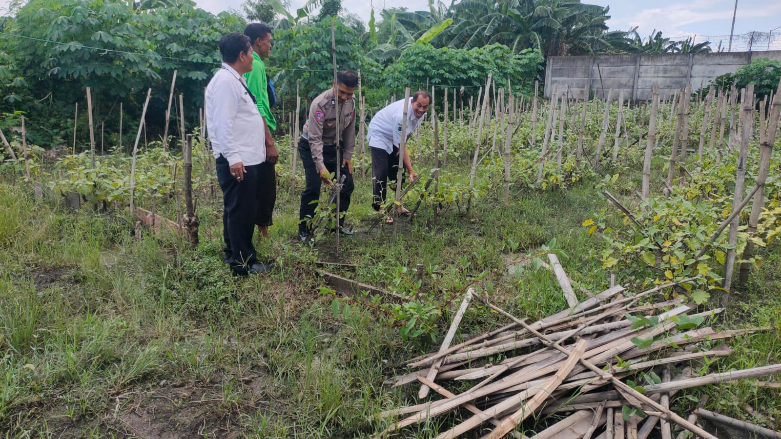 Kolaborasi Polisi dan Pemdes Dorong Ketahanan Pangan Lewat Pemanfaatan Pekarangan Kosong di Desa Cemengkalang