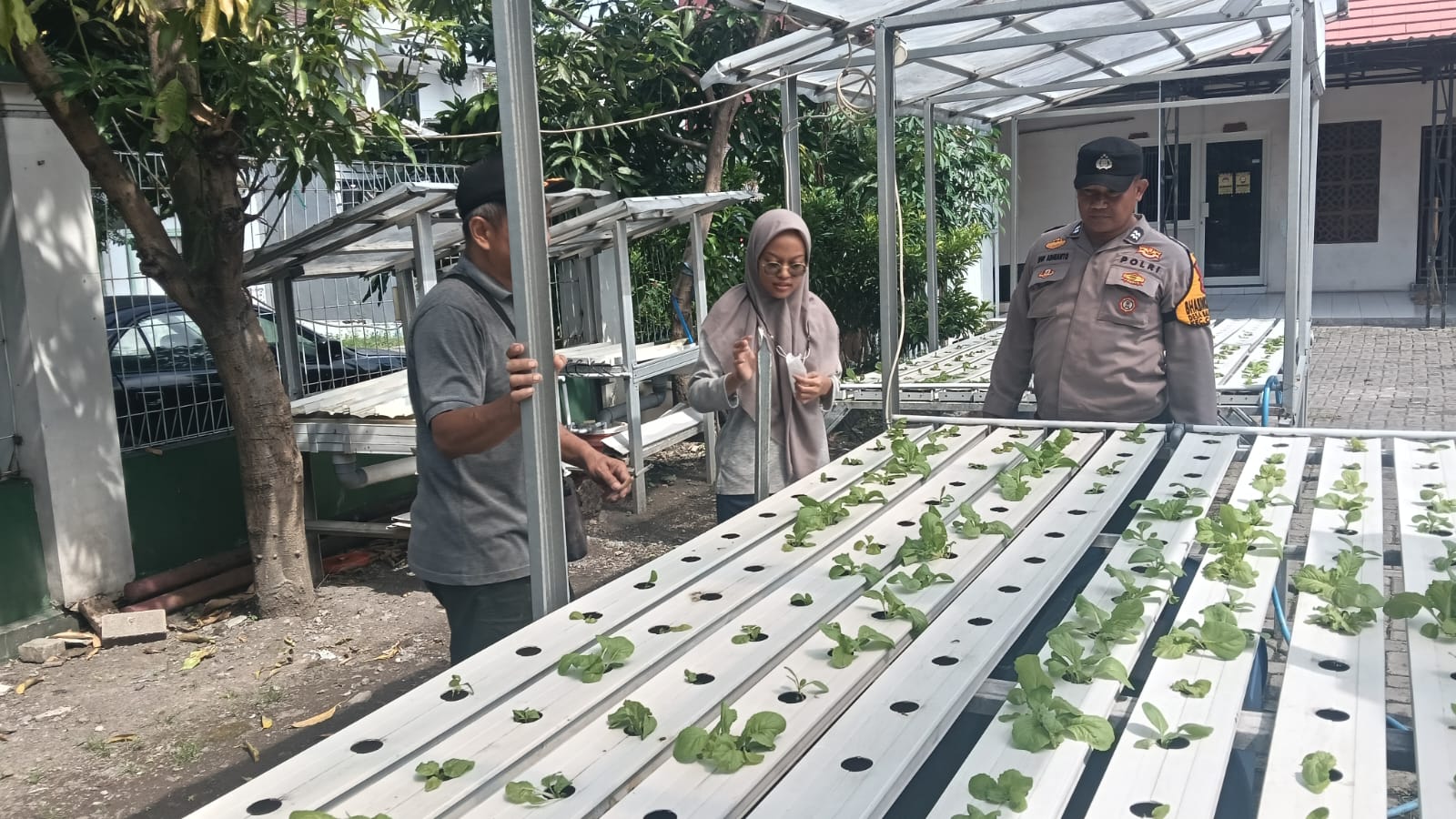 Bhabinkamtibmas Polsek Candi Cek Ketahanan Pangan P2B Berbasis Hidroponik di Desa Balonggabus