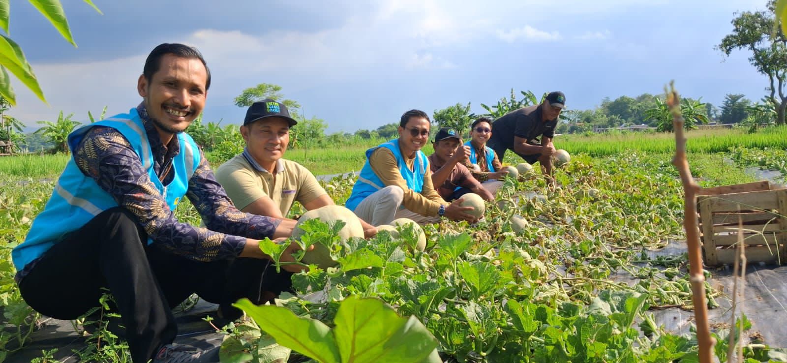 PLN Indonesia Power UBP Grati Dorong Pertanian Ranuklindungan sebagai Motor Ekonomi Kerakyatan