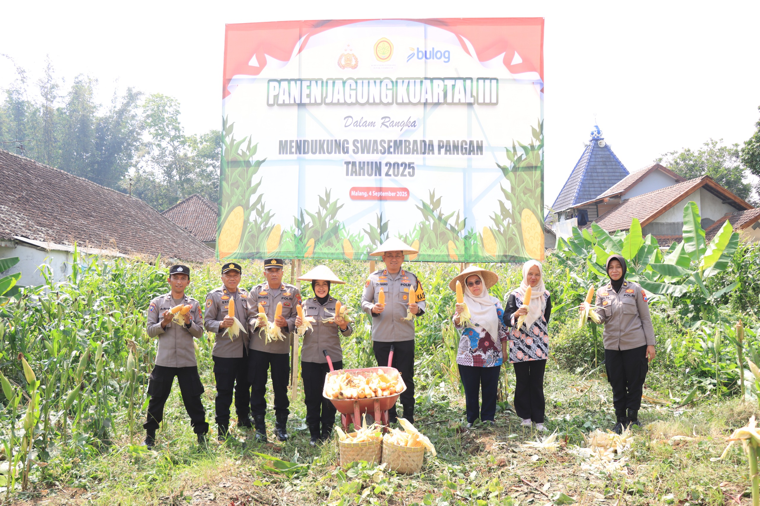 Polres Malang Panen Jagung 1 Ton di Lahan Mapolsek Tumpang