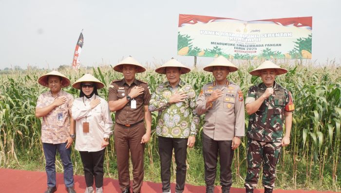 Dukung Ketahanan Pangan, Forkopimda Sidoarjo Panen Raya Jagung Serentak