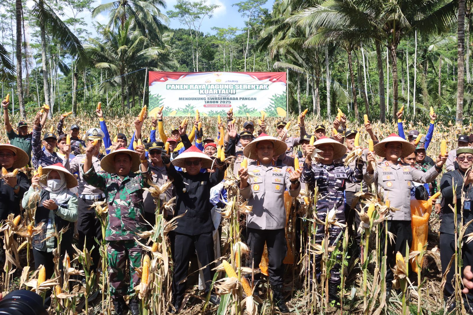 Polresta Banyuwangi Panen Raya Jagung Tahap II, Dukung Swasembada Pangan