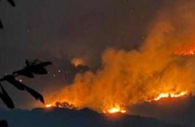  Kebakaran Arjuno-Welirang Dekati Permukiman, Jarak Titik Api Capai 2 Kilometer