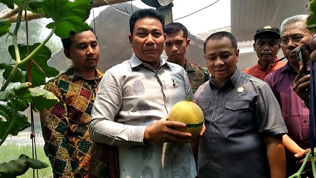 Anggota DPRD dan Bupati Sidoarjo Panen Melon di Candinegoro Wonoayu