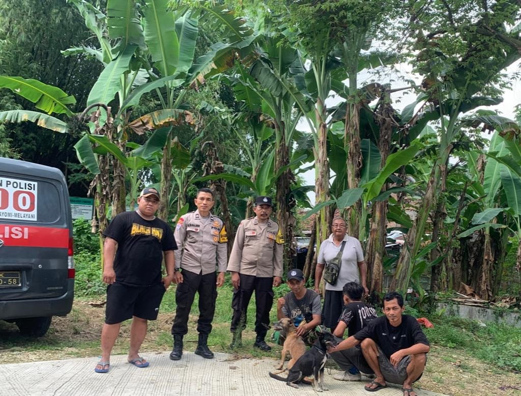 Polisi Bantu Warga Cari Ular Piton Sepanjang 7 Meter 