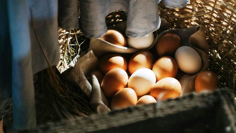 Jangan Asal Pilih Telur, Ini Arti Cangkang dan Bentuk yang Perlu Diperhatikan