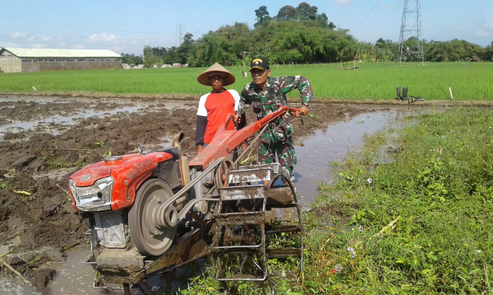 Babinsa Koramil Sumbersari Dampingi Petani Bajak Tanah Demi Ketahanan Pangan