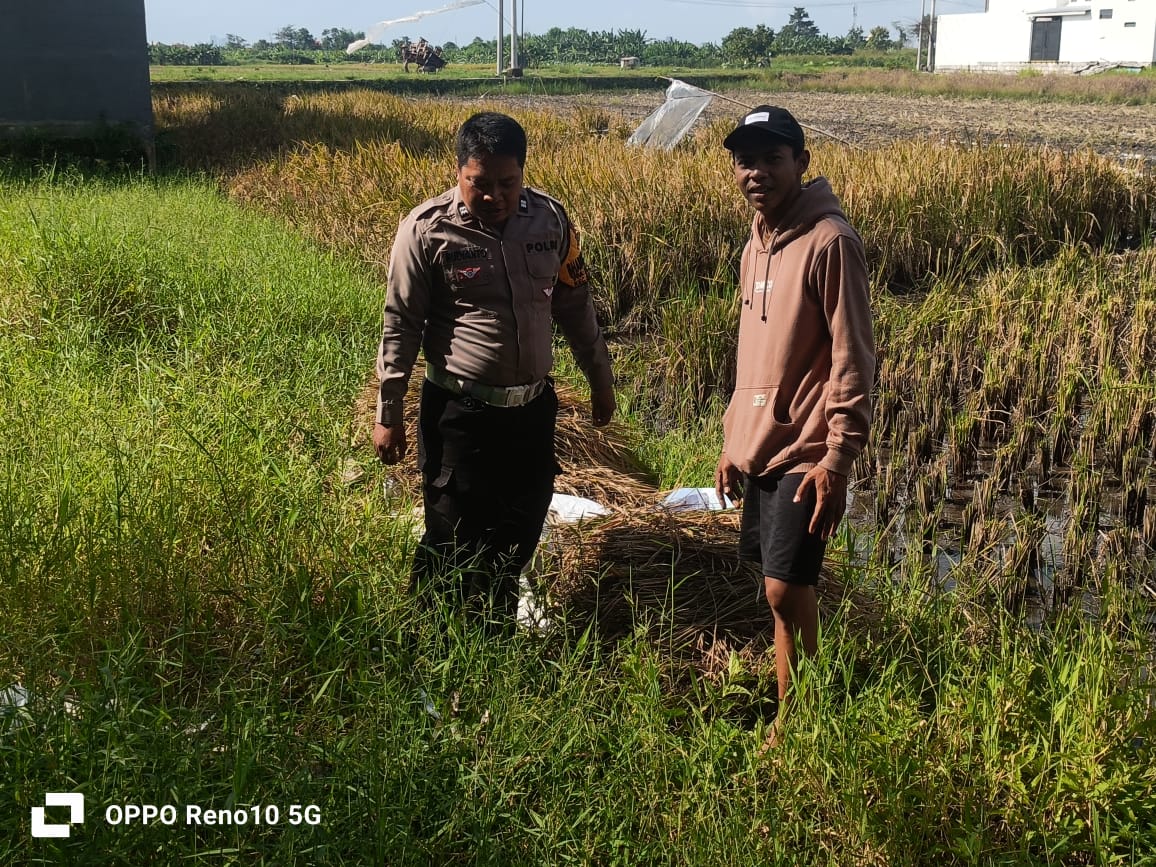 Polisi Cek Ketahanan Pangan P2B Jumputrejo Sukodono