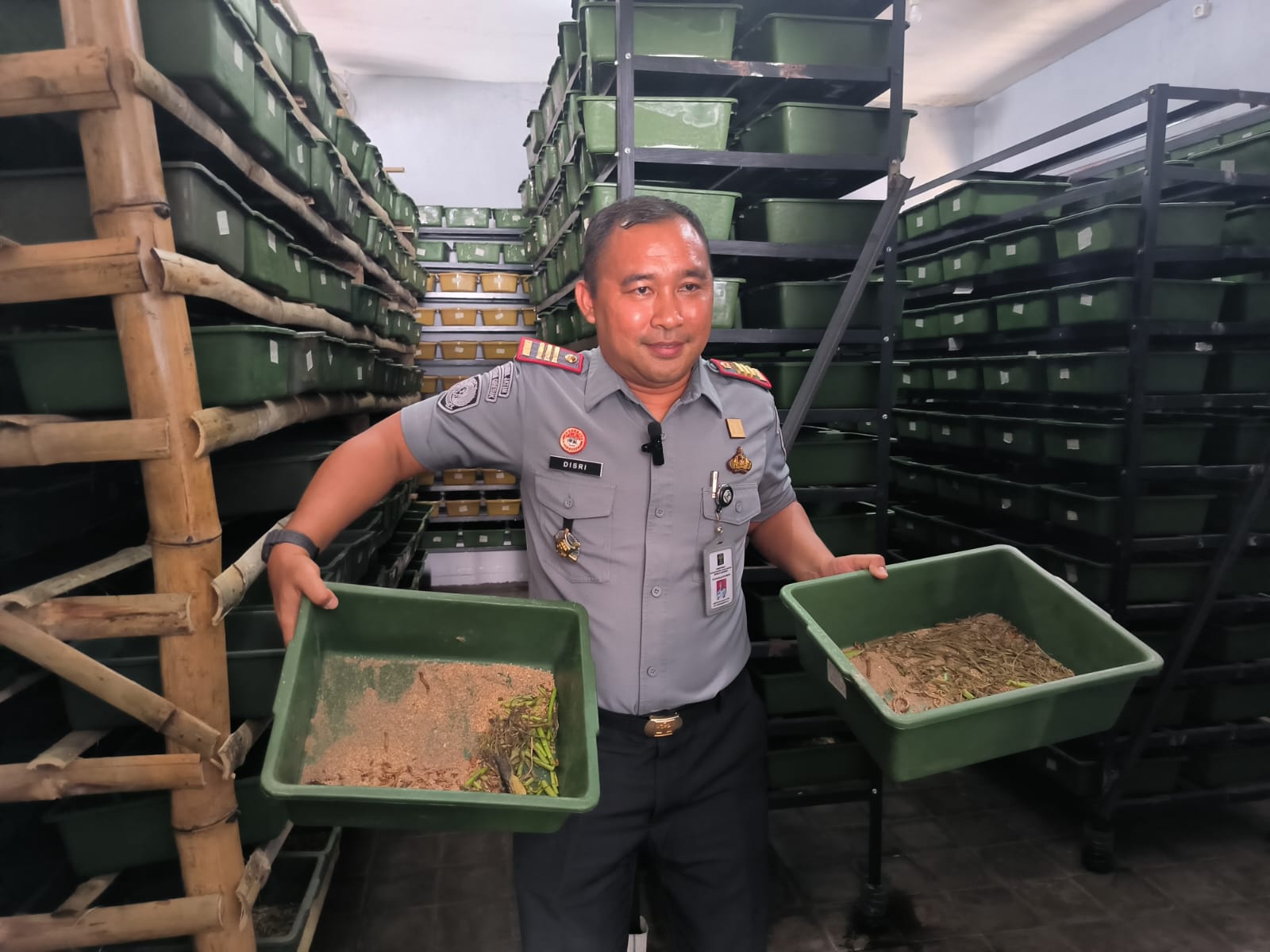 Warga Binaan Rutan Gresik Sukses Budidaya Ulat Jerman Hingga Panen