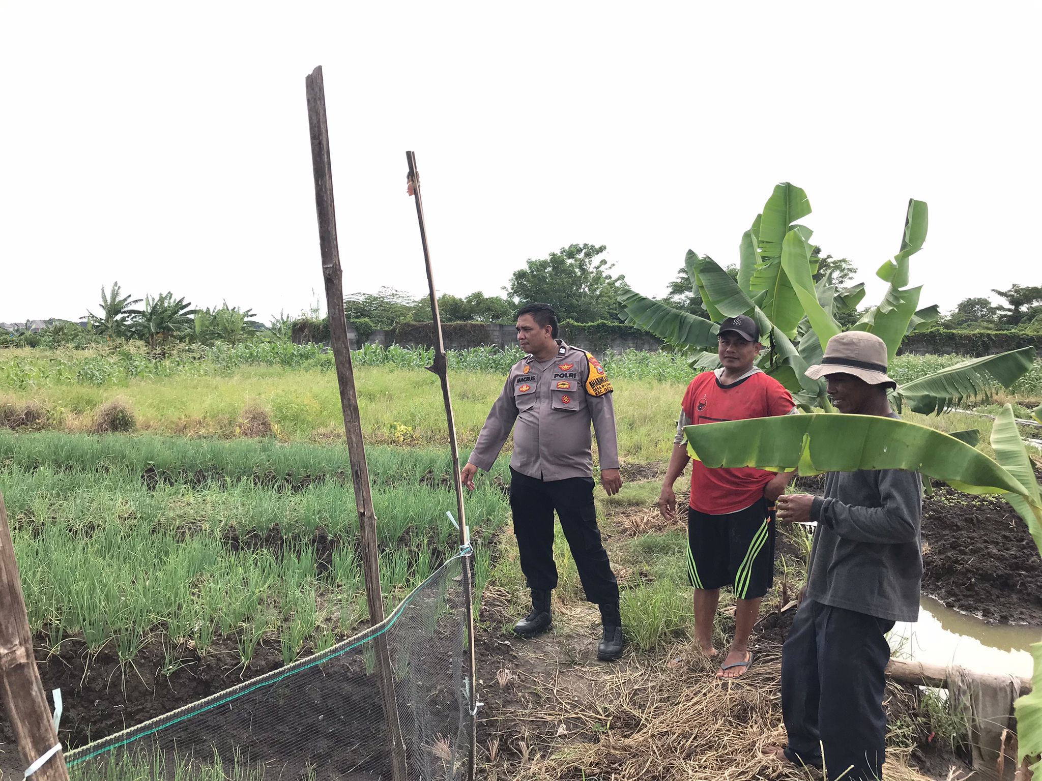 Bhabinkamtibmas Punggul Cek Lahan Ketahanan Pangan