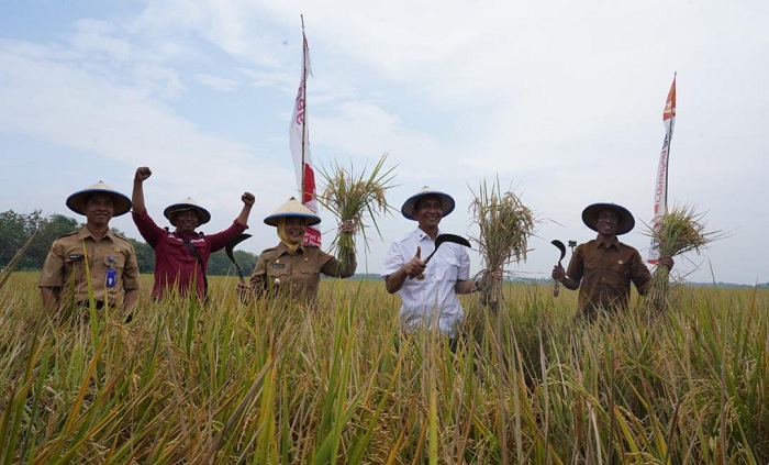 Bupati Wahono Sebut Pertanian Prioritas Utama: Bojonegoro Bertekad Jadi Produsen Padi Terbesar Kedua Jatim