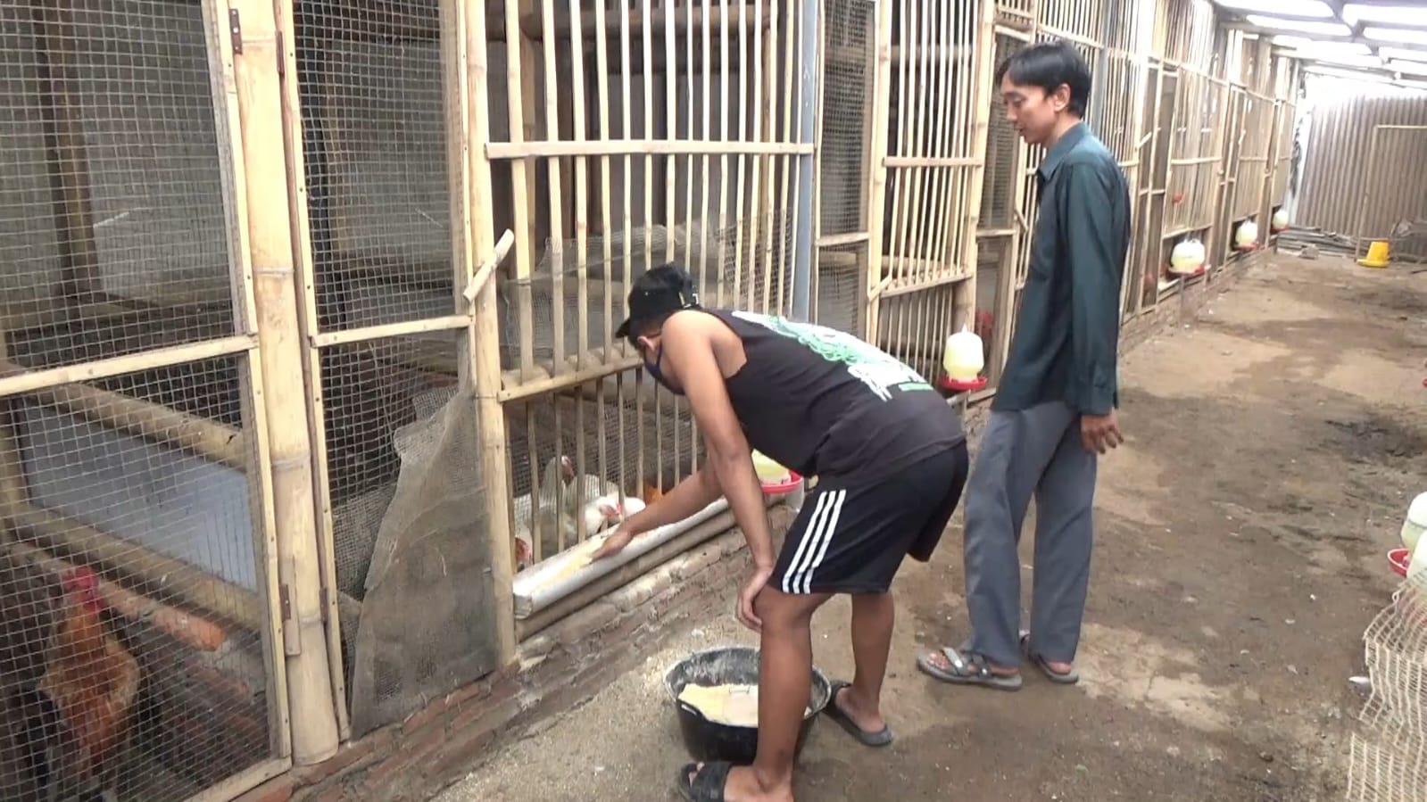 Bentuk Karakter ABH Via Bengkel Jiwa Jember, dari Kandang Ayam hingga Masa Depan Cerah