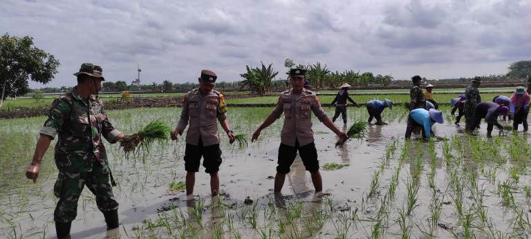 Sinergi Lintas Sektor Perkuat Ketahanan Pangan di Lamongan