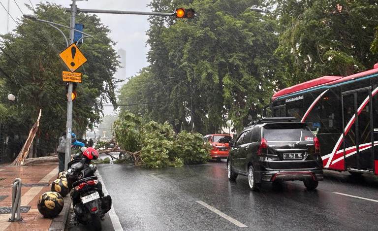 Waspada, Sehari Ada 8 Pohon Tumbang di Kota Surabaya, Simak Lokasinya