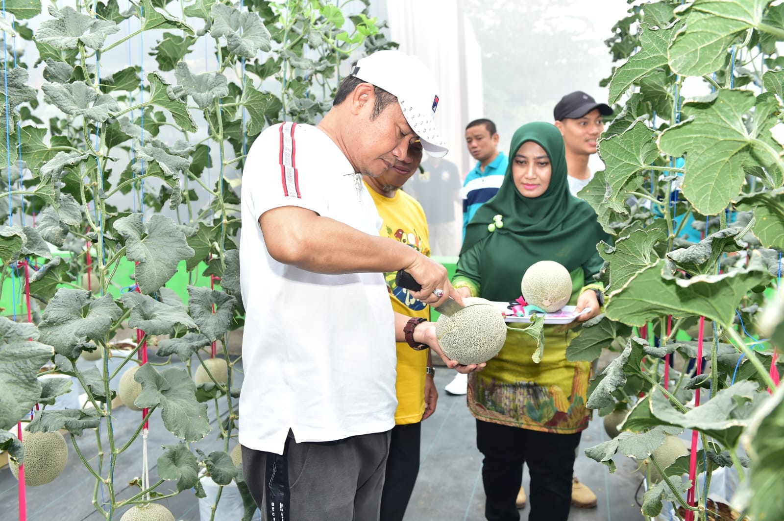 Sebagai Lumbung Pangan Nasional, Lamongan Diversifikasi Tanaman Hortikultura