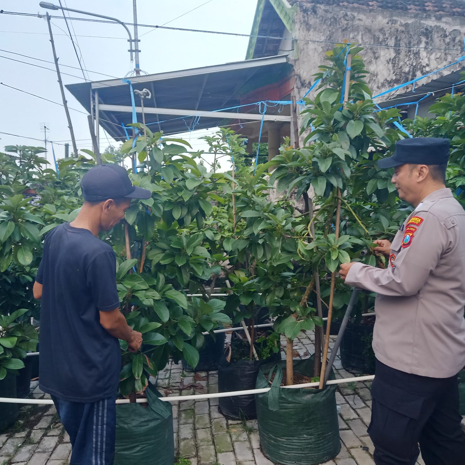 Bhabinkamtibmas Tanggulangin Gencar Patroli Sambang Desa, Dukung Program Ketahanan Pangan