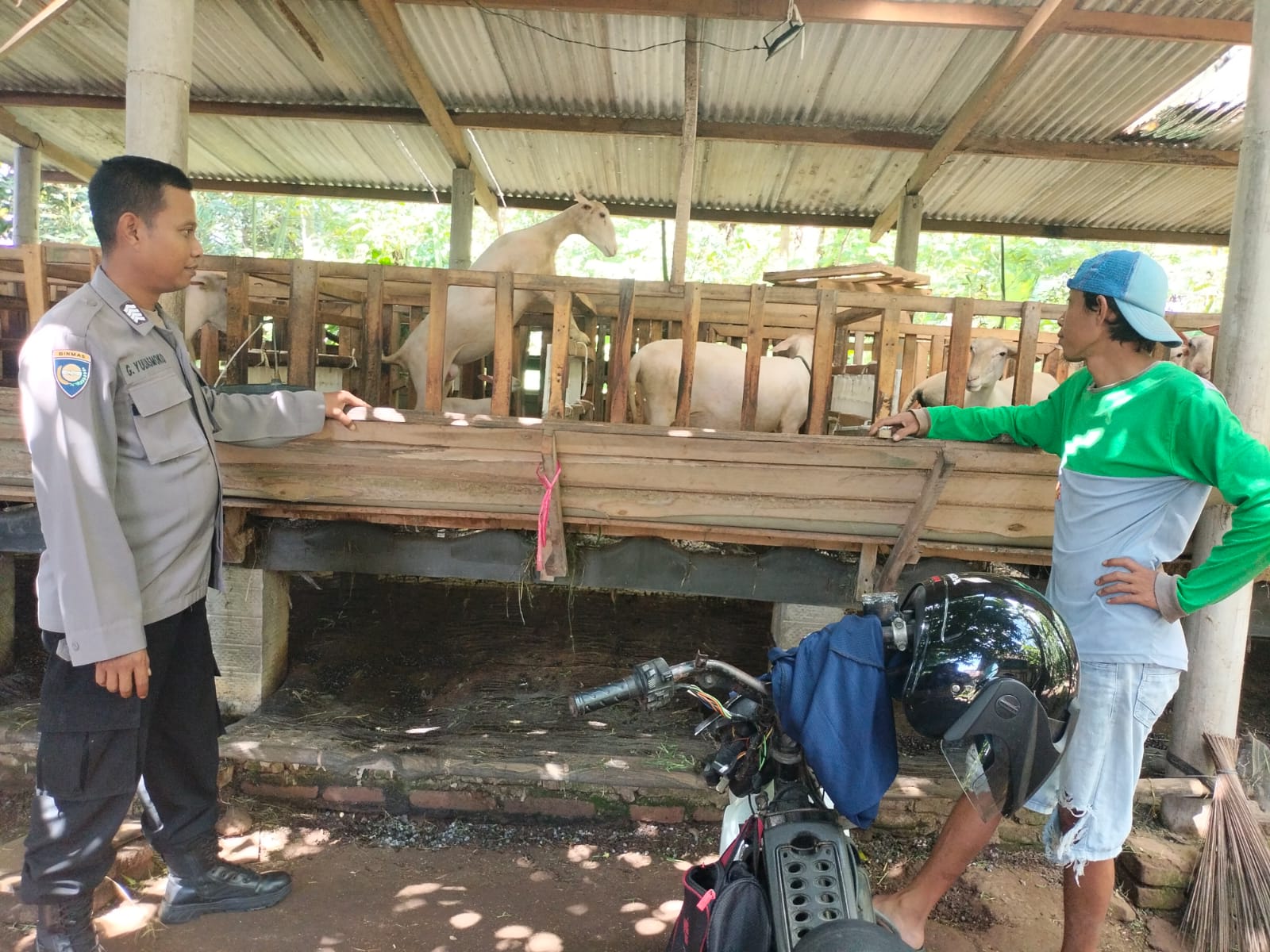 Polresta Banyuwangi Dampingi Warga Berternak Kambing, Dukung Ketahanan Pangan dari Desa