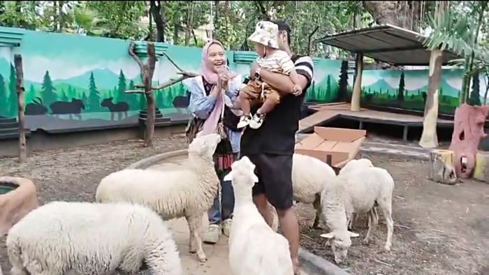 KBS Catat Kenaikan Signifikan Pengunjung di Libur Waisak