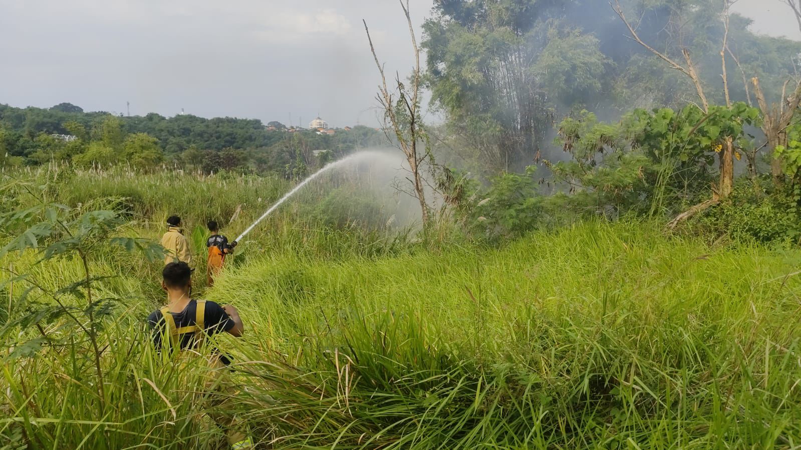 Masuk Kemarau, Damkar Gresik Instruksikan Camat Imbau Desa Waspada Kebakaran Lahan