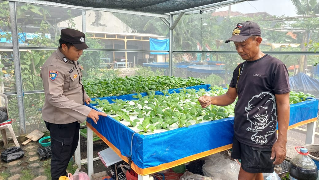 Siapkan Lahan Pekarangan di Gedangan Dukung Ketahanan Pangan Nasional