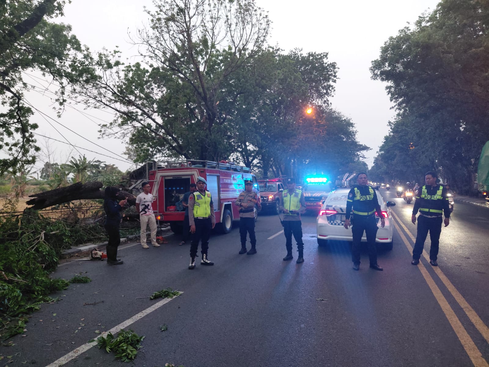 Pohon Tumbang Blokir Jalan Lamongan, Polisi Gerak Cepat Urai Kemacetan
