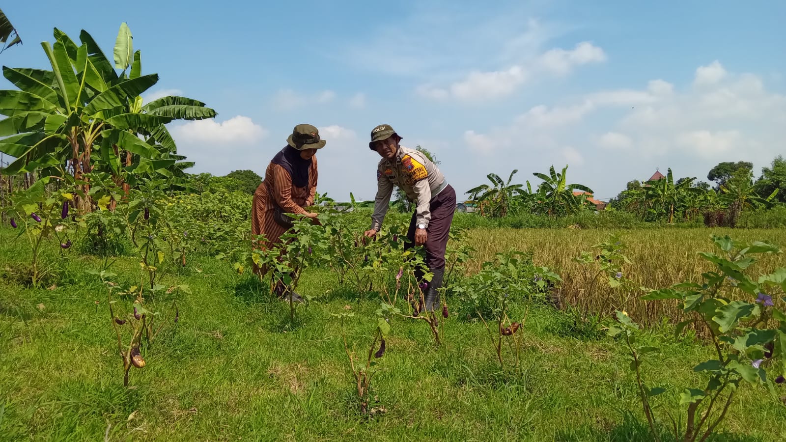 Bhabinkamtibmas Kalidawir Optimalkan Ketahanan Pangan lewat Pekarangan Bergizi