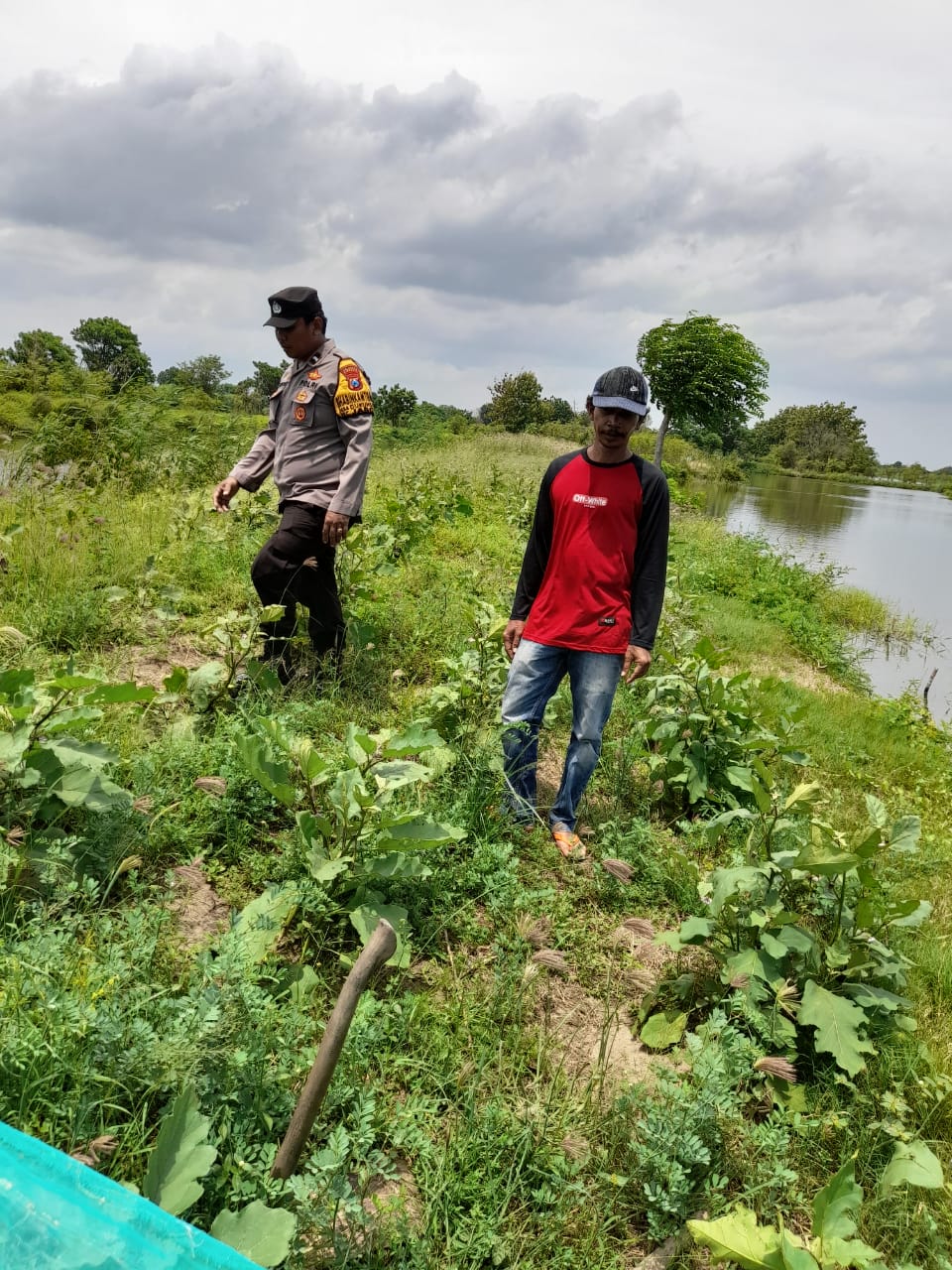 Bhabinkamtibmas Dukuh Sari Pantau Perkembangan Tanaman Sayuran untuk Dukung Ketahanan Pangan