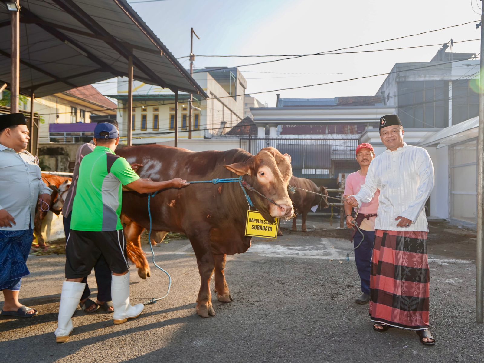 Berkah Iduladha, Polrestabes Surabaya Bagikan 24 Sapi dan 71 Kambing untuk Warga