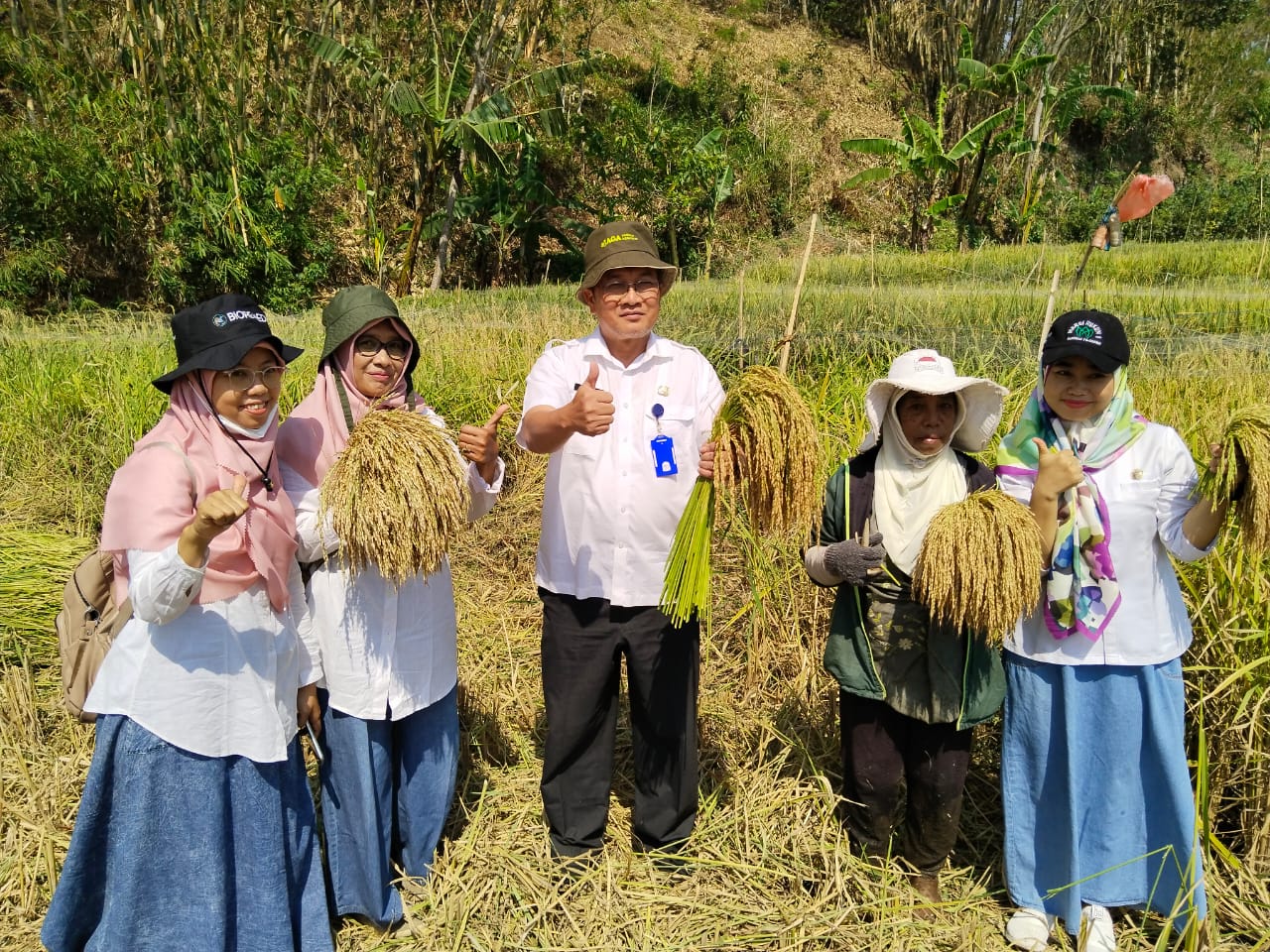 Padi Sukanandi, Tanaman Para Petinggi Singhasari