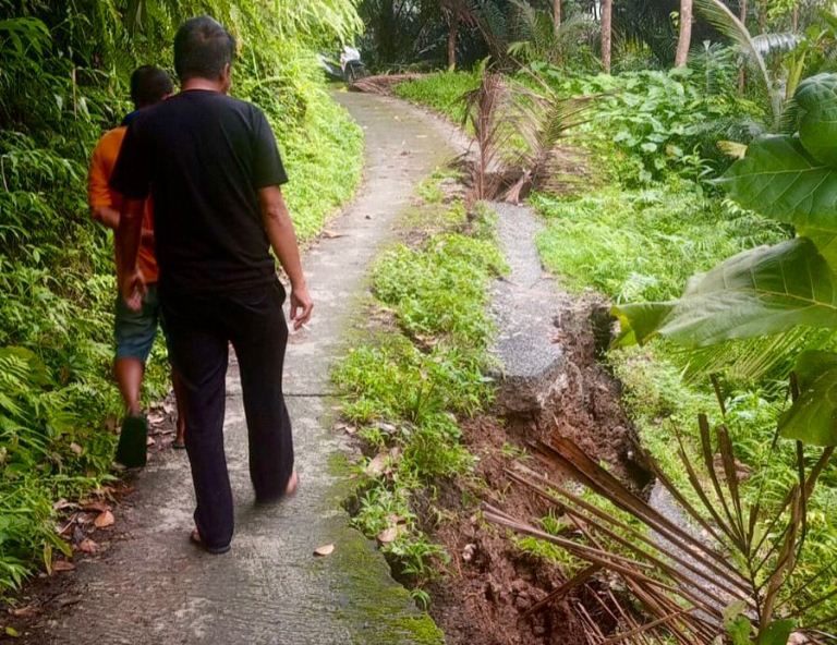 Longsor Terjang Gunung Malang Bawean, BPBD Gresik Soroti Maraknya Penebangan Pohon