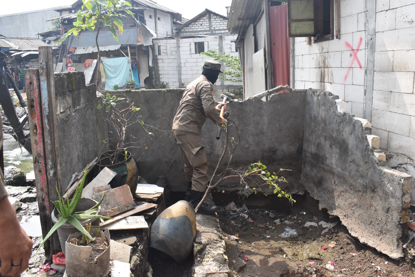 Satpol PP Bongkar Bangli di Bantaran Sungai Kalianak