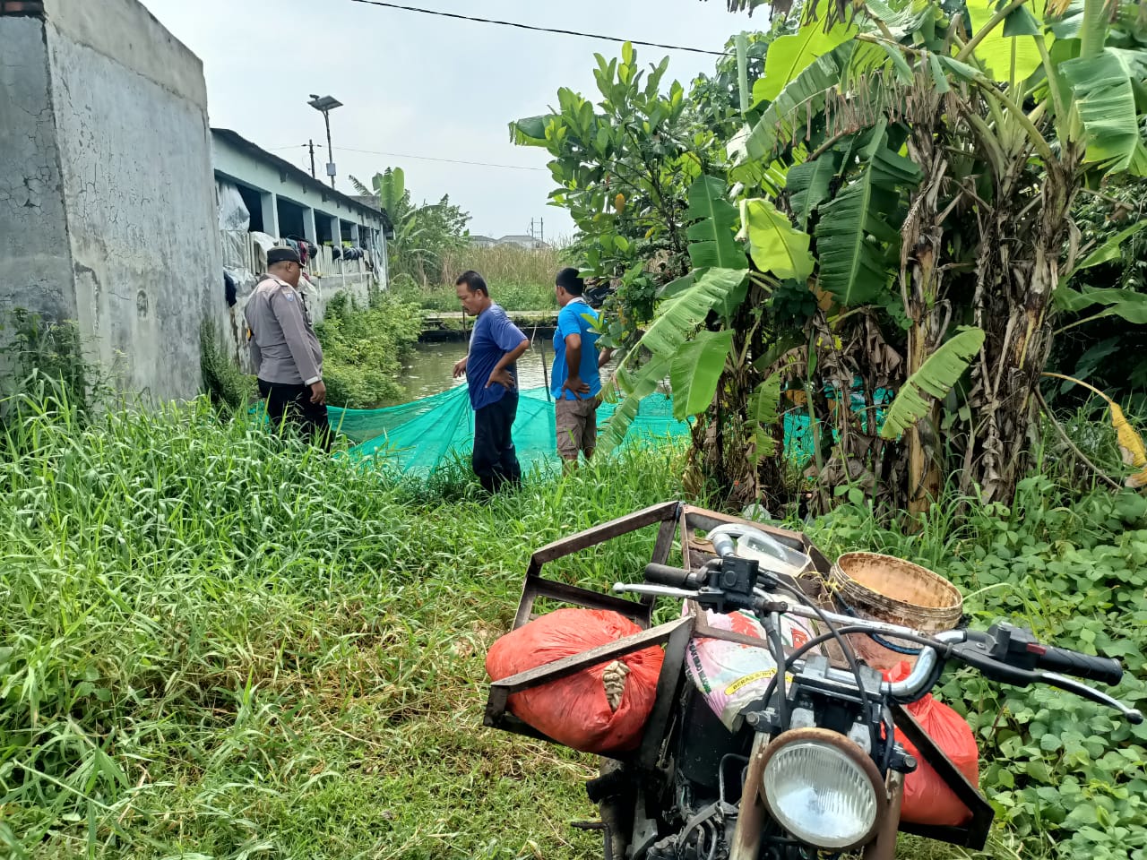 Polsek Gedangan Tinjau Budidaya Ikan Lele di P2B Bumdes Wedi Dukung Program Ketahanan Pangan